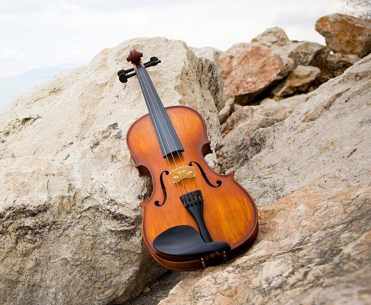 I lost my violin at Bruce Peninsula during Aug. 2023, Canada